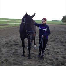 Anden særlig race Melina