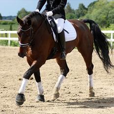 Oldenborg Palnatoke af hethe(Palle)