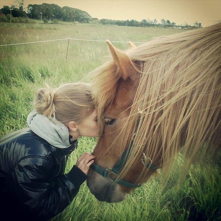 Islænder Bjarmi fra Tothat (den bedste) - Min kusine Julie og Bjarmi <3 billede 13