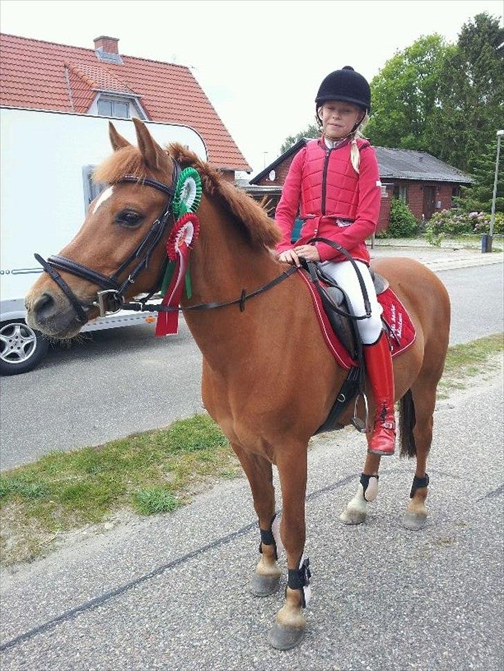 Hollandsk Sportspony Karamba - karamba og naja vinder MB** til landsstævnet i Herning og bliver nr 3 i deres første MA. :-) billede 11