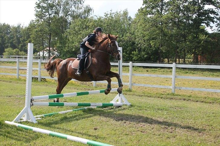 Anden særlig race Aksel<3 billede 12