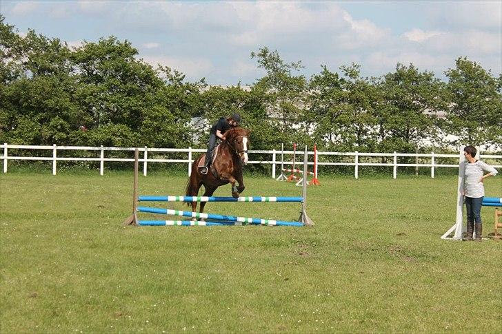 Anden særlig race Aksel<3 billede 13