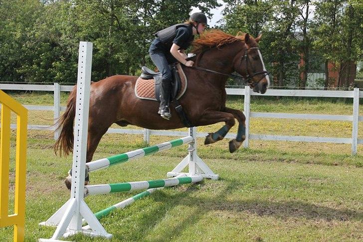 Anden særlig race Aksel<3 billede 16