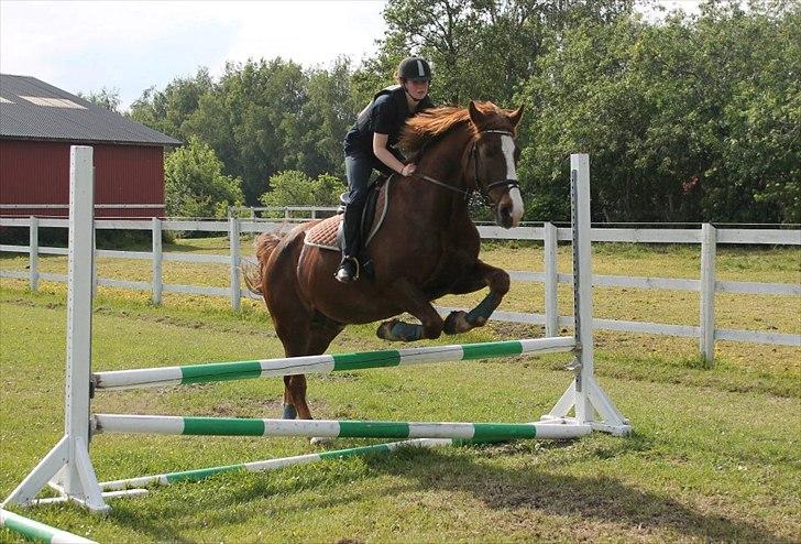 Anden særlig race Aksel<3 billede 18