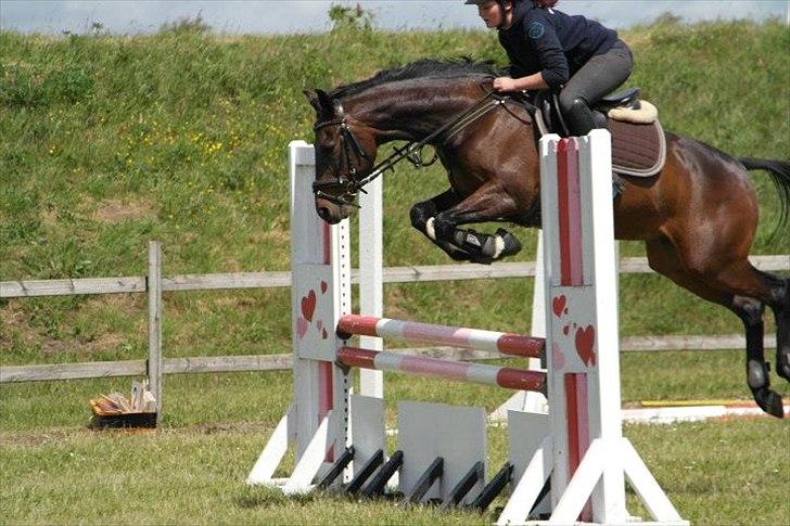 Traver Julius R.I.P :'( billede 8