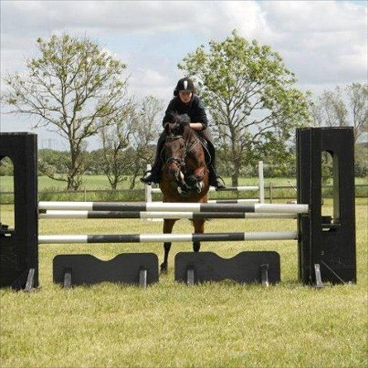 Traver Julius R.I.P :'( billede 3