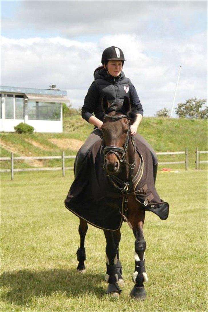 Traver Julius R.I.P :'( billede 6