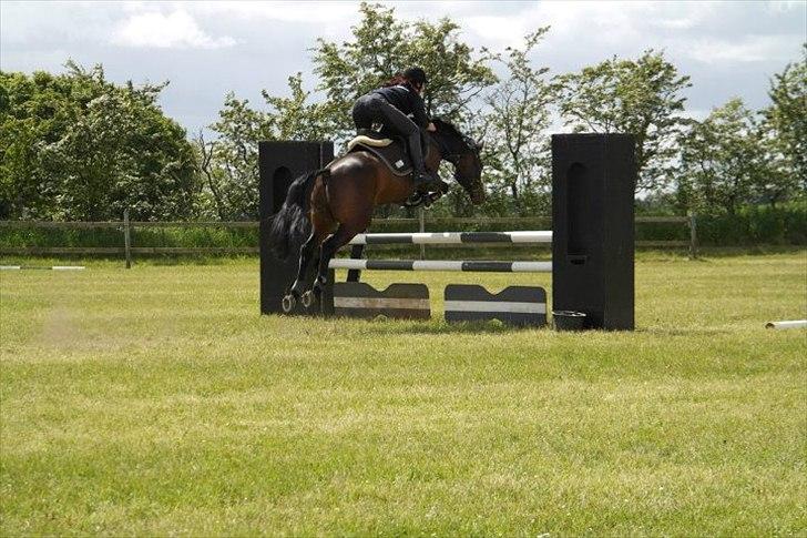 Traver Julius R.I.P :'( billede 7