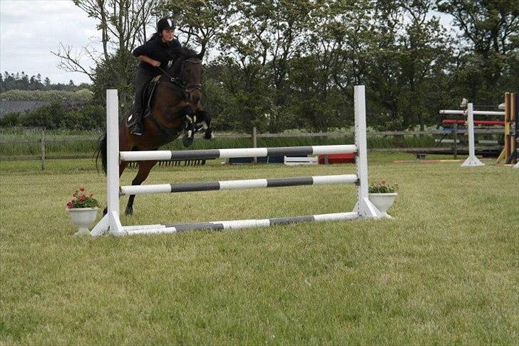 Traver Julius R.I.P :'( billede 5