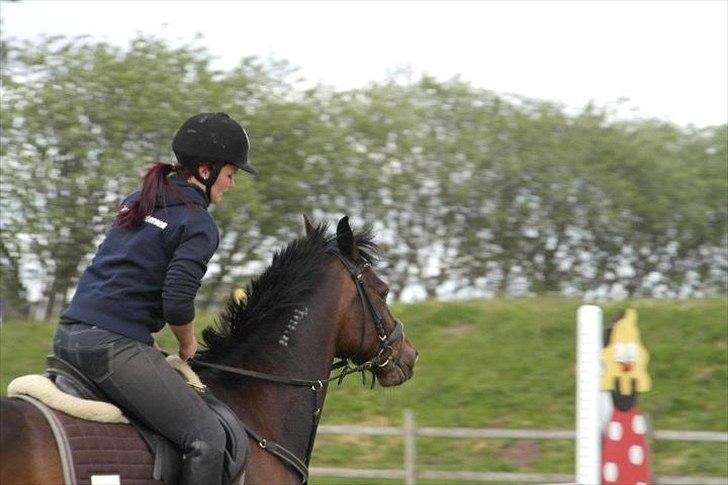 Traver Julius R.I.P :'( billede 4