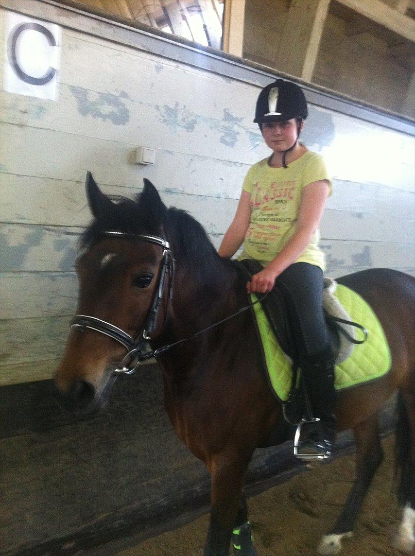 Anden særlig race Pheasant´s Quincy - GRØØØN<3<3<3 billede 14