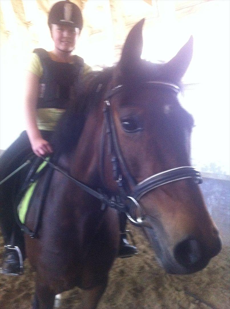 Anden særlig race Pheasant´s Quincy - :):)
 billede 16