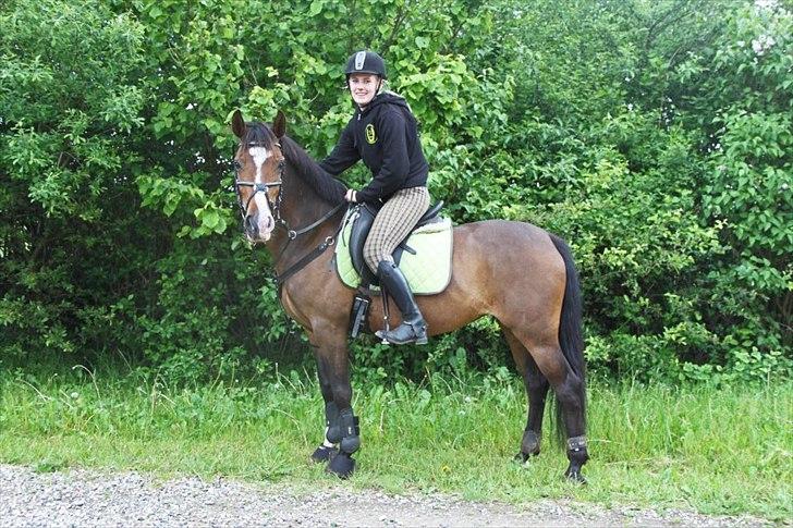 Anden særlig race Bonette  - Taget d. 08.06-12, den dag Bonette og jeg sprang 80 cm! <3 personlig rekord! <3 billede 1