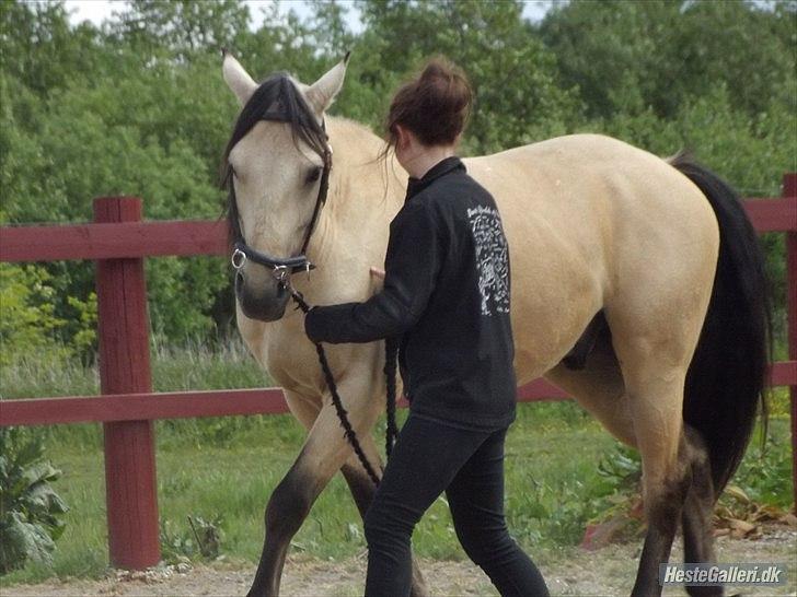 Anden særlig race - Homie - Versade - lidt overbøjet..
- Juni 2012 billede 12