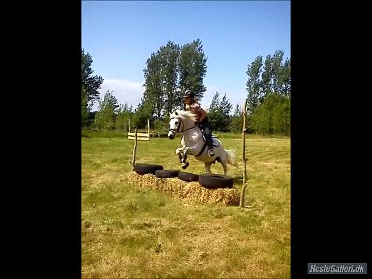 Anden særlig race Lukas<33 - Dyygtig<33 elsker dig bare pony:-* billede 6