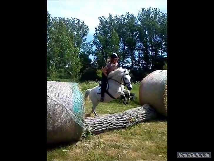 Anden særlig race Lukas<33 - Du er da en sej lille ponze<3 billede 7