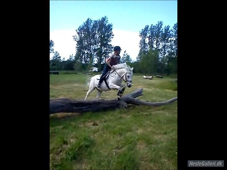 Anden særlig race Lukas<33 - Jaa det var godt:-) billede 8