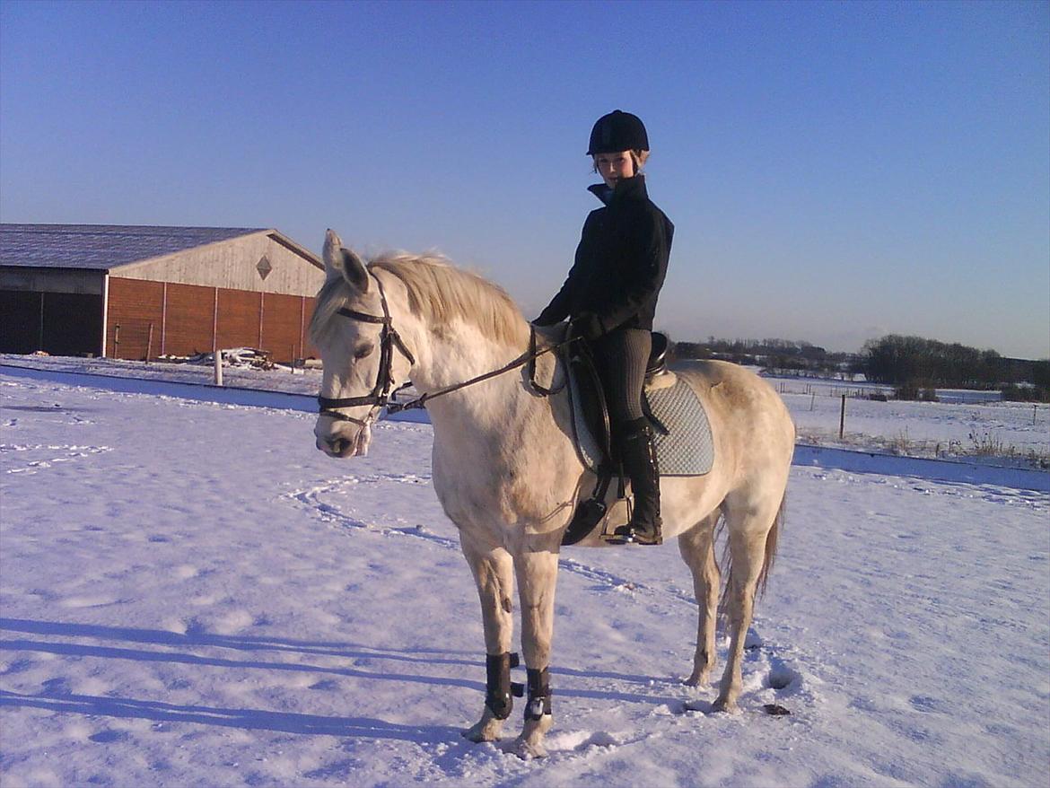 Anden særlig race Silverlea Picasso-gl.part - Vores første ridetur - 12. feb 2009 billede 2