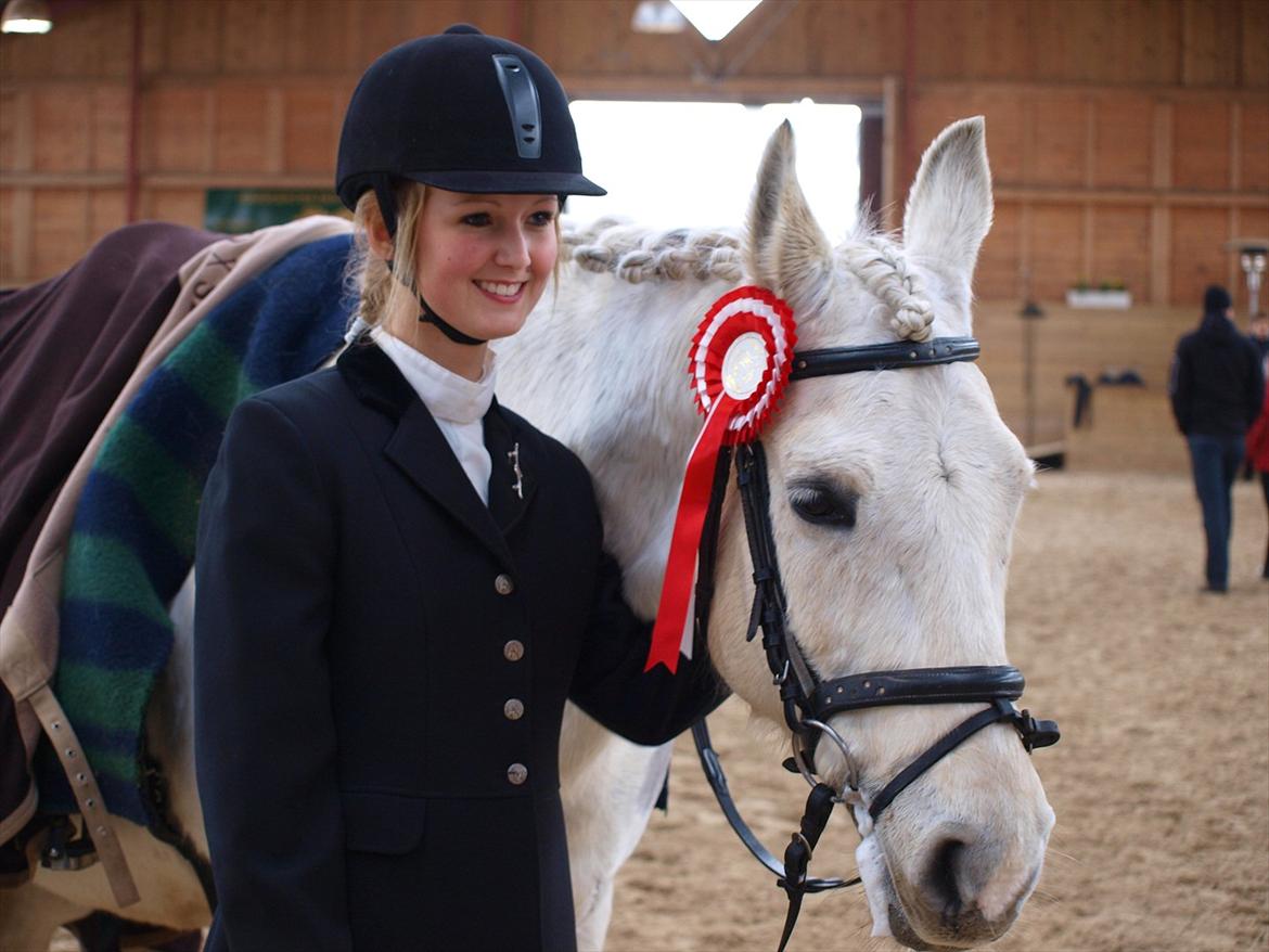 Anden særlig race Silverlea Picasso-gl.part - Stævne i marts 2010  billede 5