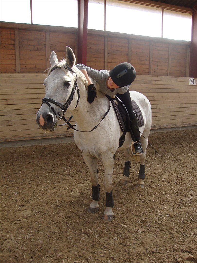 Anden særlig race Silverlea Picasso-gl.part - På en varm sommerdag i agust 2010 billede 17