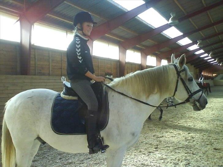 Anden særlig race Silverlea Picasso-gl.part - Picasso en dag i november 2009 billede 3