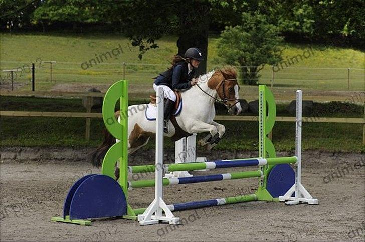 Anden særlig race Tarzan billede 2