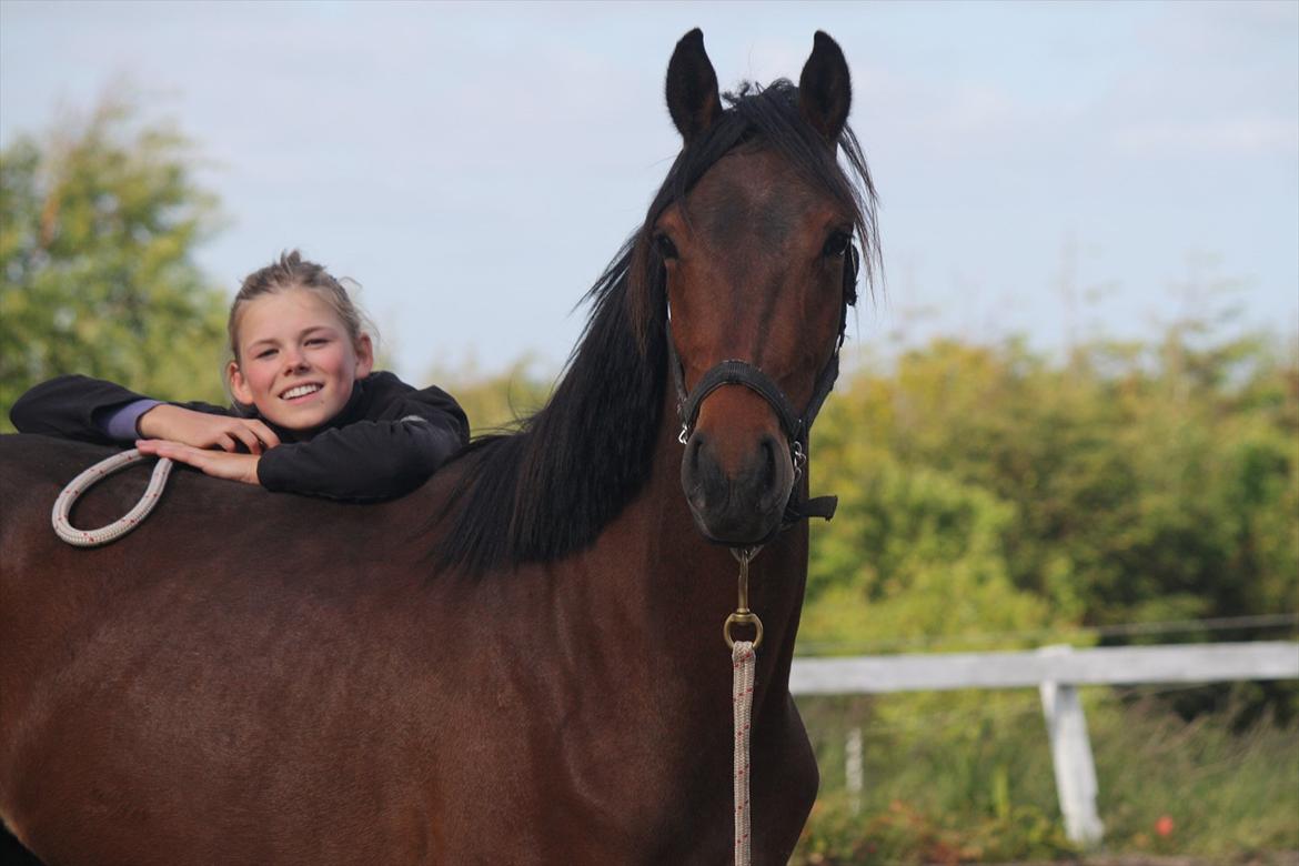 Anden særlig race Wupti - Nyt: Lidt over 2 år gammel. billede 19