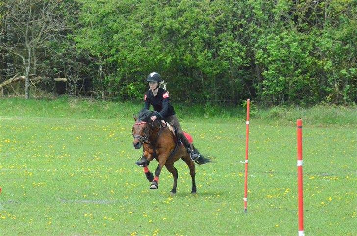 Anden særlig race Lukas!<3 - Kappo Cup 2012 billede 11