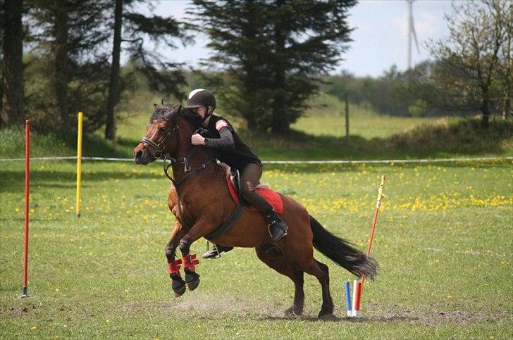 Anden særlig race Lukas!<3 - Kappo Cup 2012 billede 12