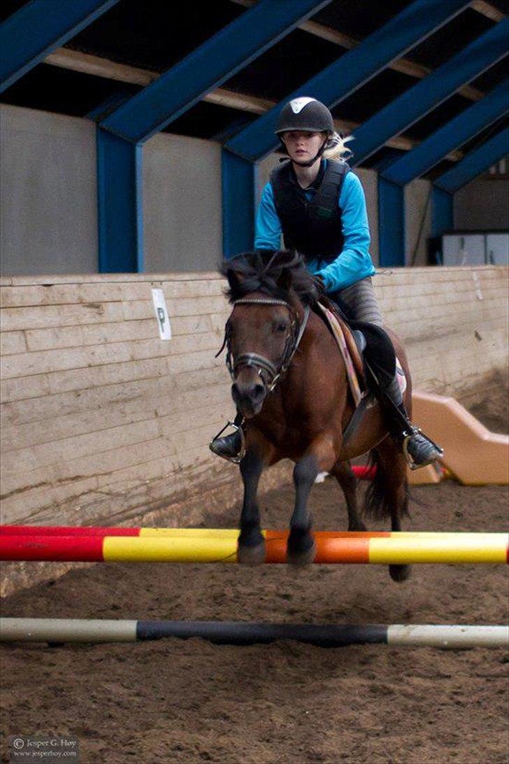 Anden særlig race Lukas!<3 - Gammelt <3 billede 17