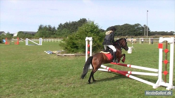 Anden særlig race Lukas!<3 - LB** Uggerhalne 2010 billede 18