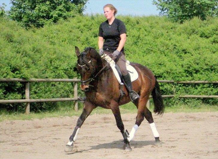 Anden særlig race Aeroplane  billede 1