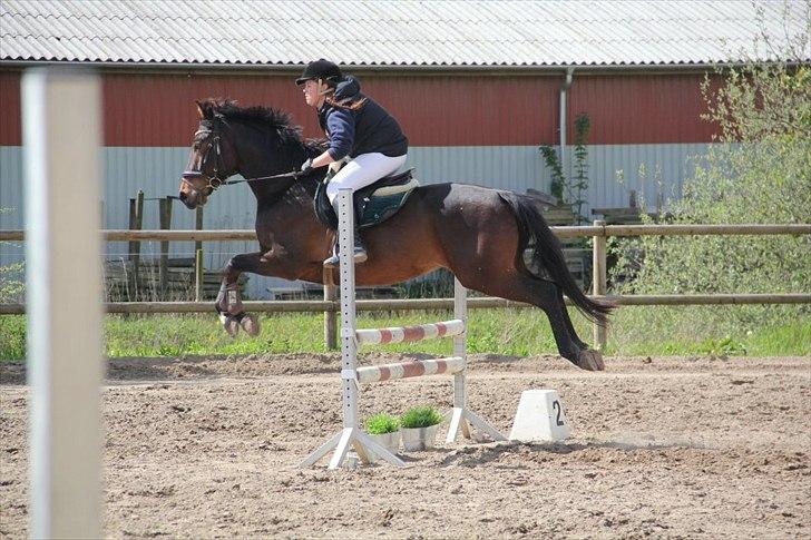 Anden særlig race Aeroplane  billede 2