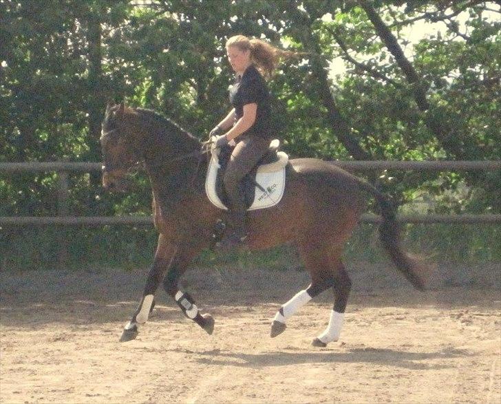 Anden særlig race Aeroplane  billede 3