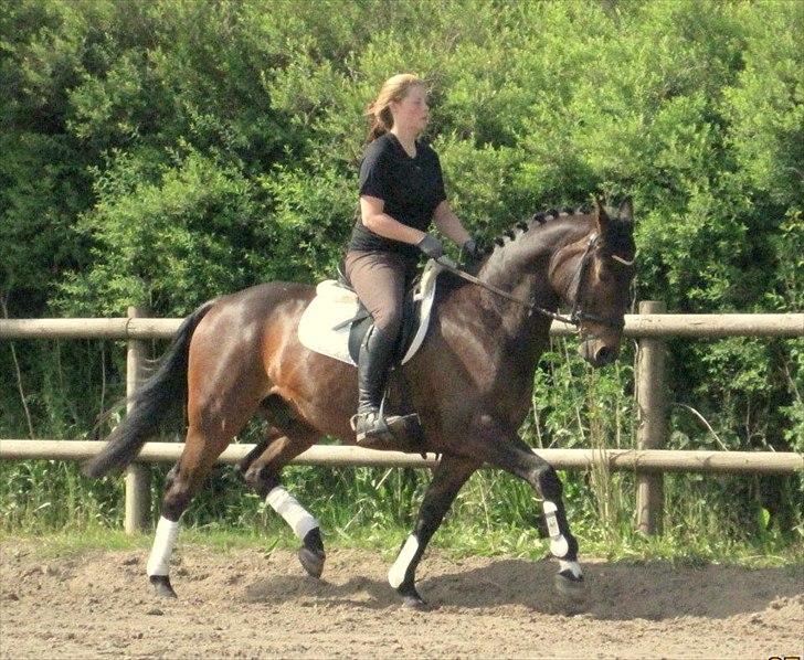 Anden særlig race Aeroplane  billede 4