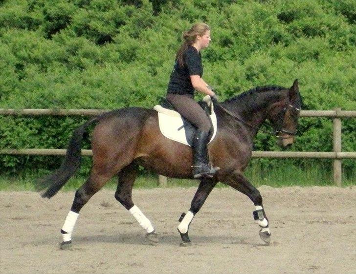 Anden særlig race Aeroplane  billede 5