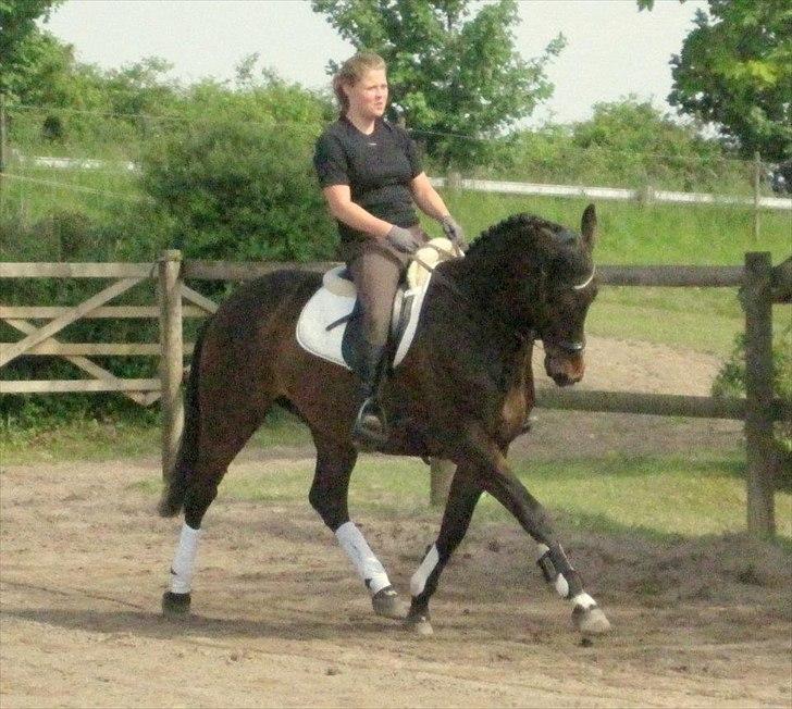 Anden særlig race Aeroplane  billede 6