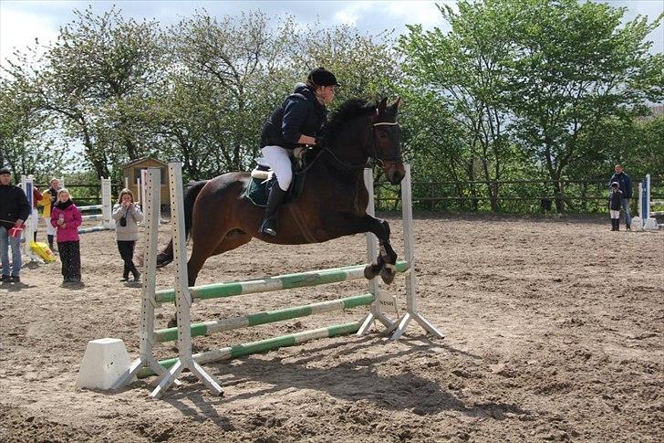 Anden særlig race Aeroplane  billede 8