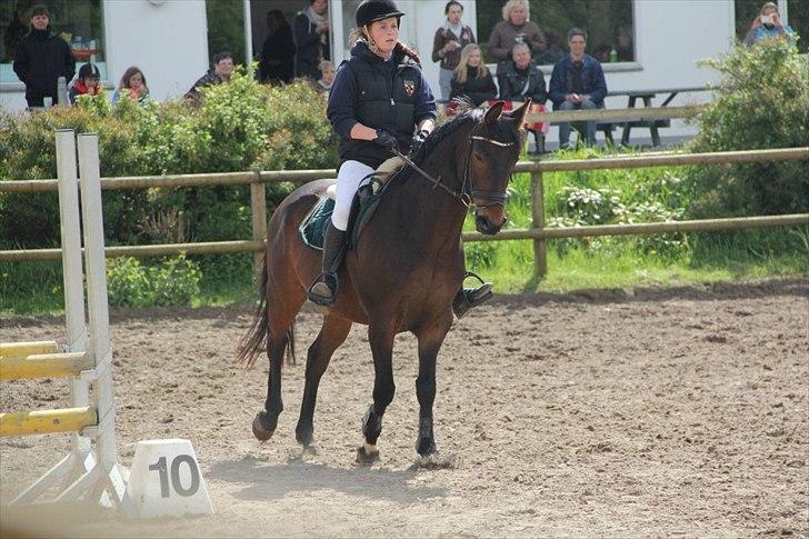 Anden særlig race Aeroplane  billede 9