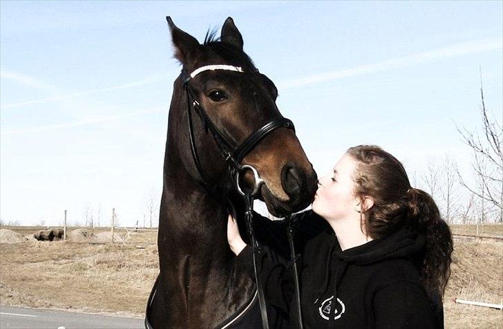 Anden særlig race Aeroplane  billede 10