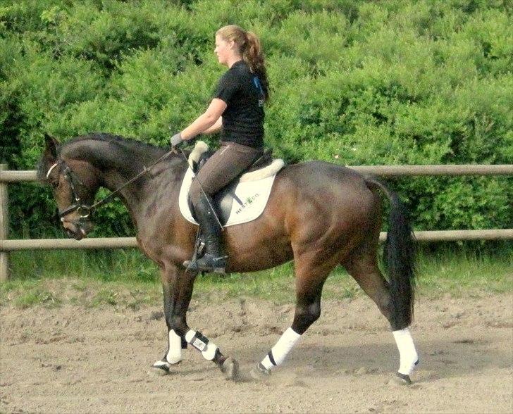 Anden særlig race Aeroplane  billede 11