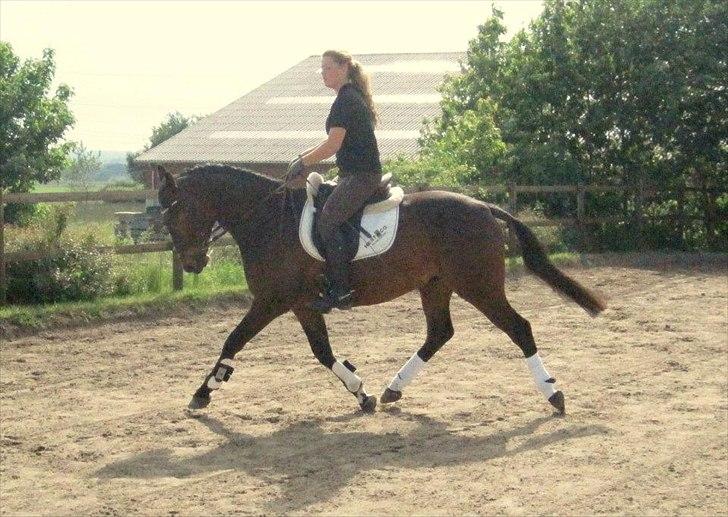 Anden særlig race Aeroplane  billede 12