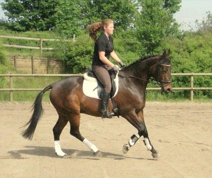 Anden særlig race Aeroplane  billede 13