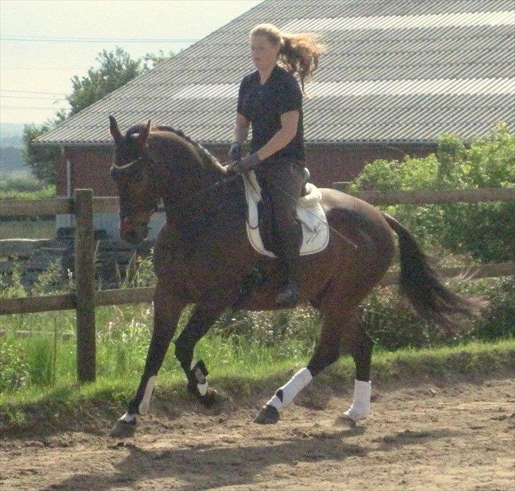 Anden særlig race Aeroplane  billede 14