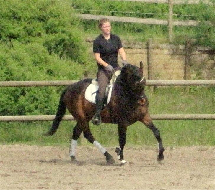 Anden særlig race Aeroplane  billede 16