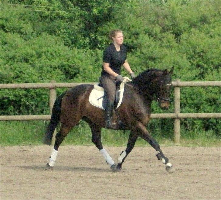 Anden særlig race Aeroplane  billede 17