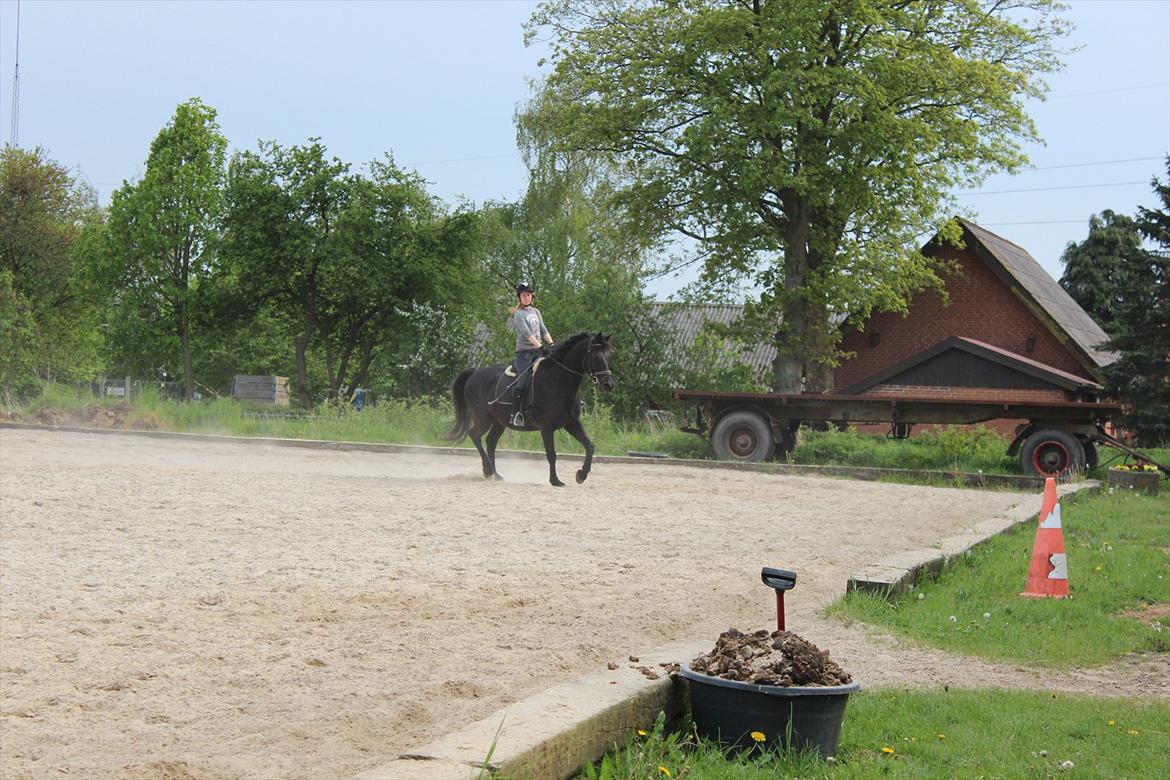 Oldenborg Gaston billede 4