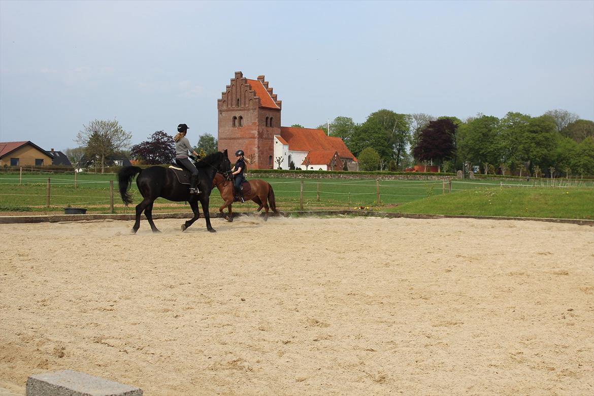 Oldenborg Gaston billede 13