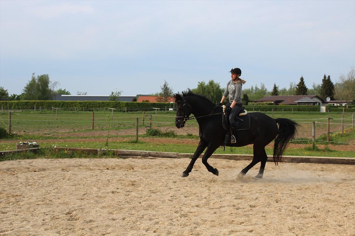 Oldenborg Gaston billede 6