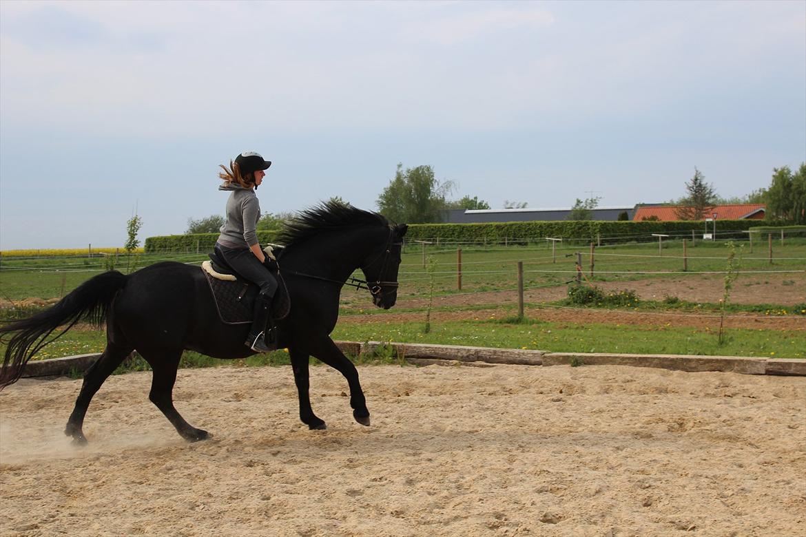 Oldenborg Gaston billede 7